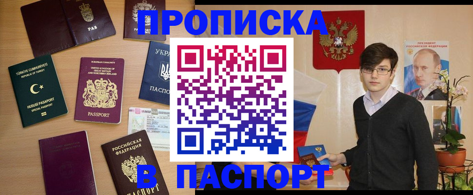 прописка 2025 в Ермолино